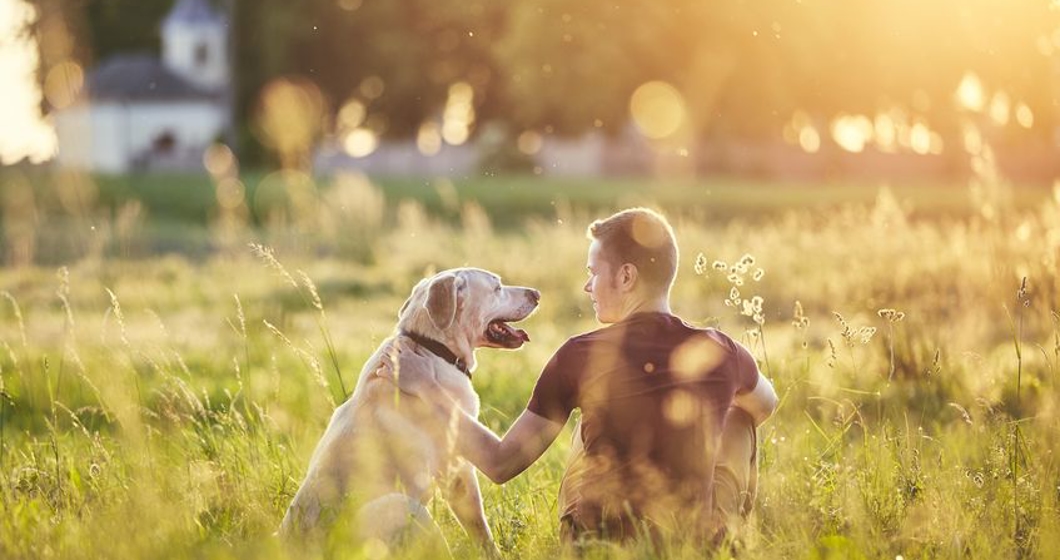 Man with his dog at sunset