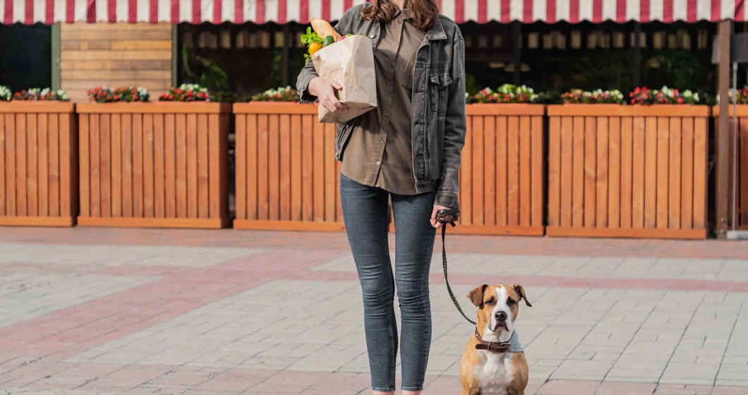 Young pretty woman with dog holds paper bag of groceries in fron