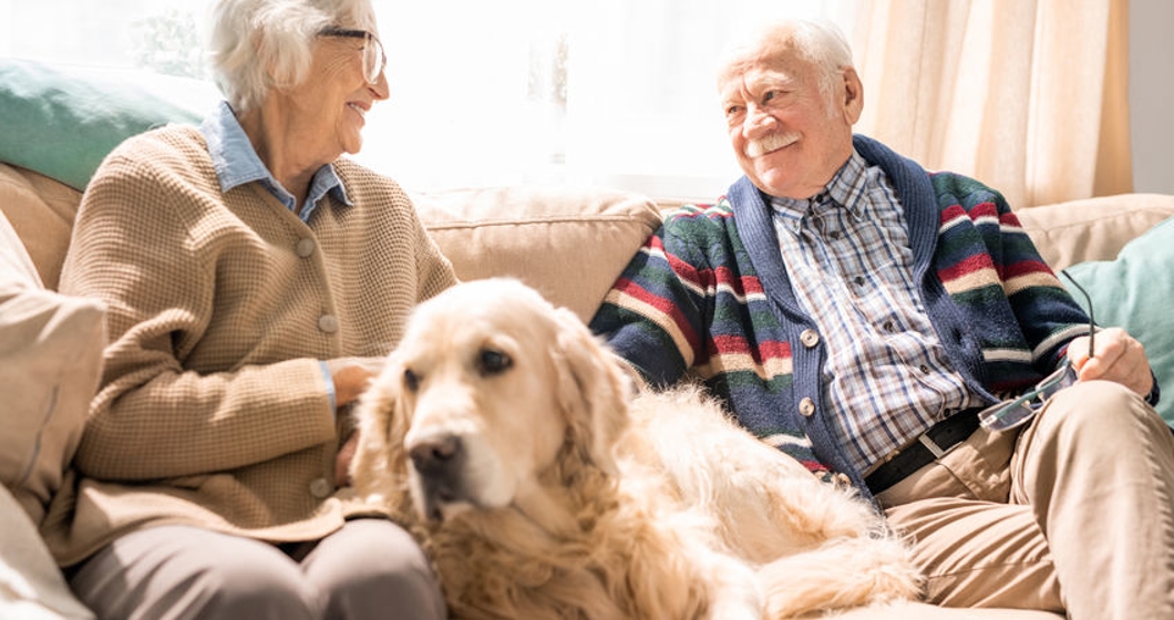 Cheerful Senior Couple at Home