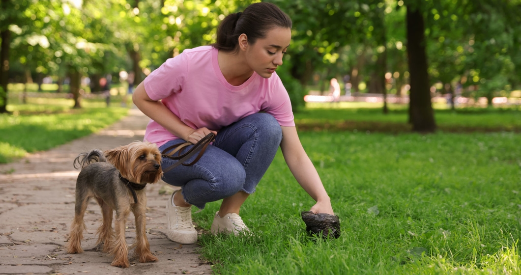 Woman picking up her dog’s poop from green grass in park