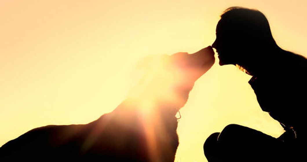 Happy Woman and Dog Outside Silhouette