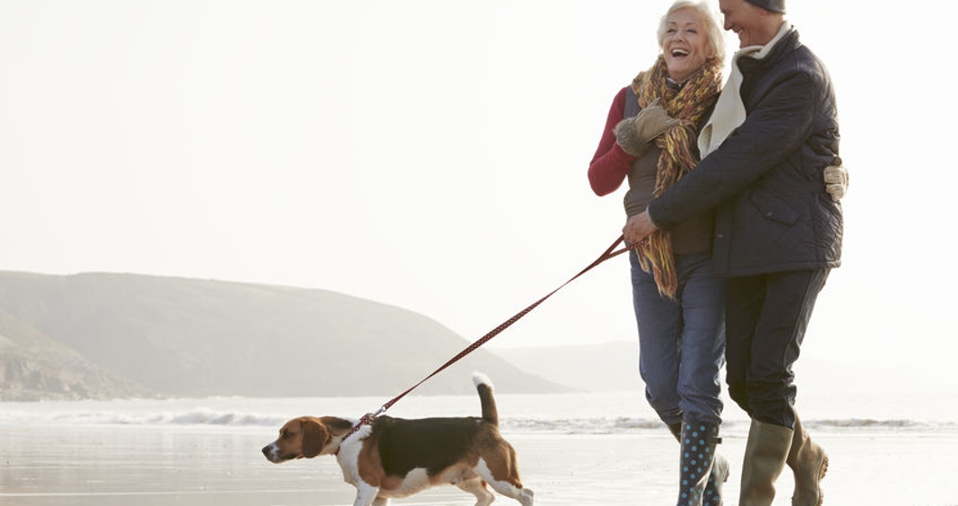 Senior Couple Walking Along Winter Beach With Pet Dog