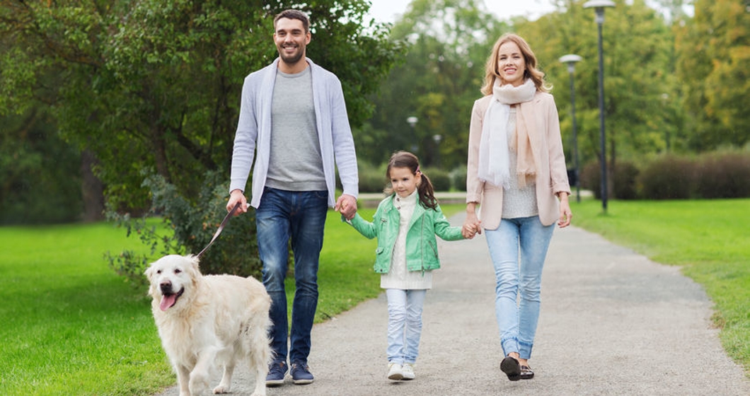 family of three walking Labrador in the park
