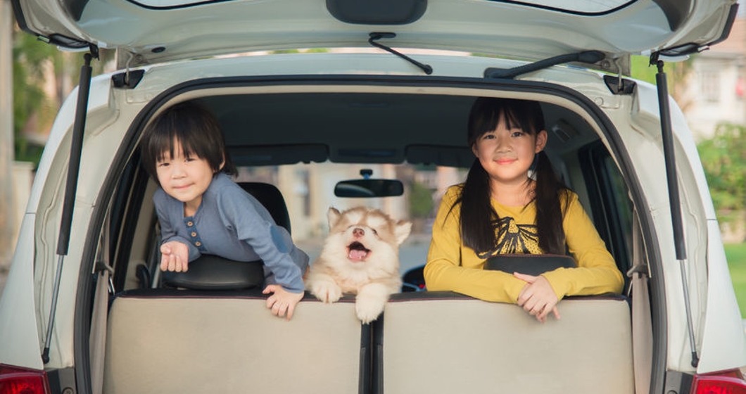 happy asian children and siberian husky puppy sitting in the car