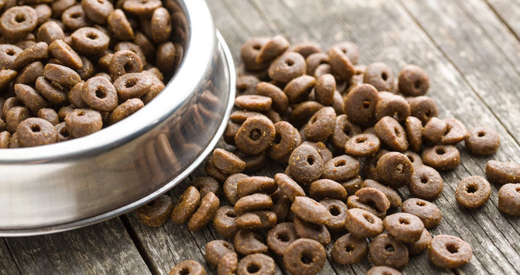 dry kibble dog food in bowl on old wooden table.