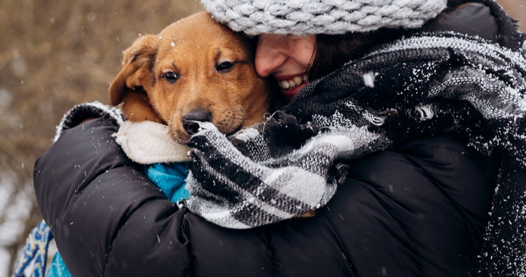 stylish hipster woman hugging and smiling cute puppy in snowy co