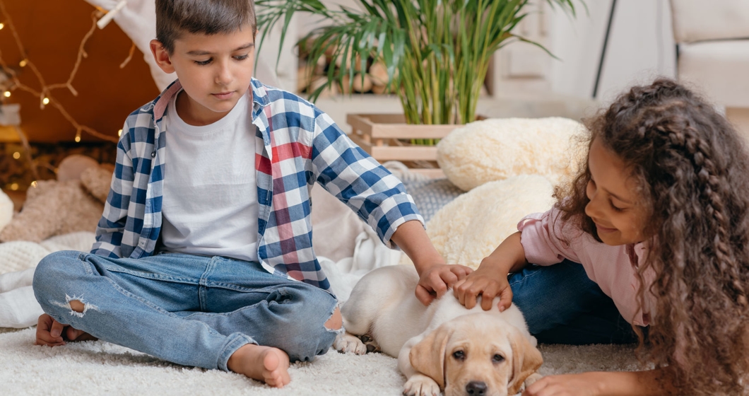 kids playing with cute Labrador puppy at home