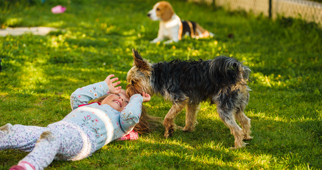 dogs and kids in yard