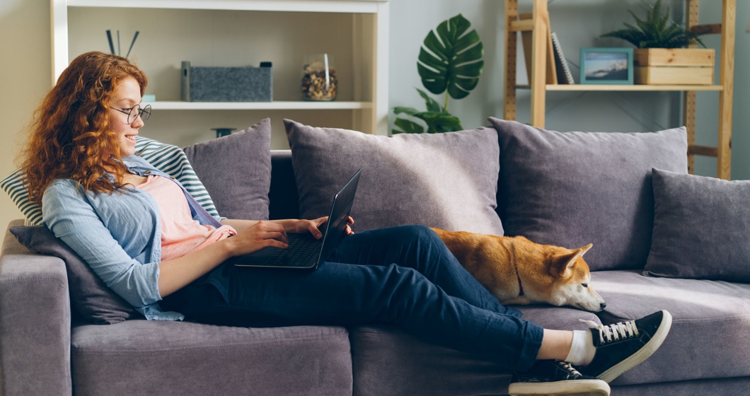 Happy student using laptop sitting on couch with shiba inu dog in apartment