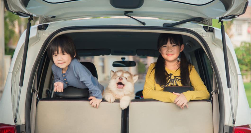 Children in the back of a van with a huskie puppy