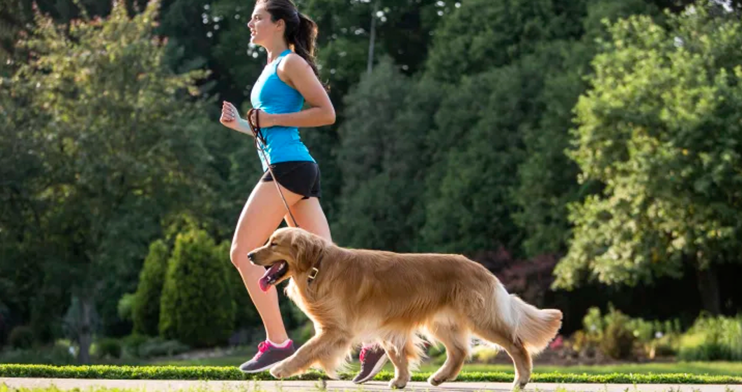 woman jogging with a Golden Retriever