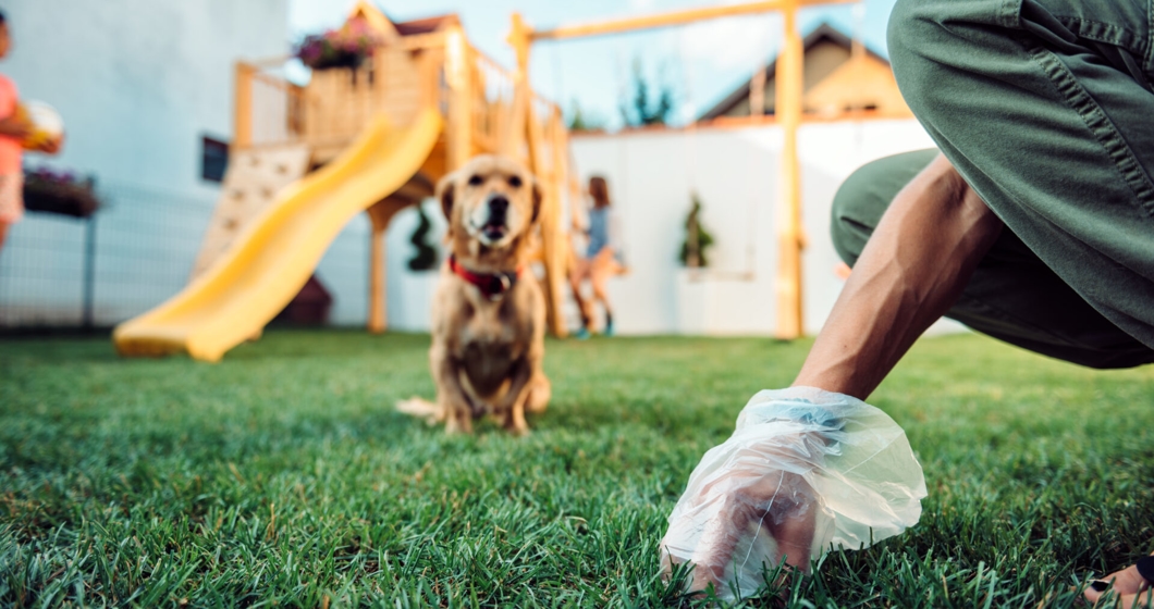 January in Tampa, FL