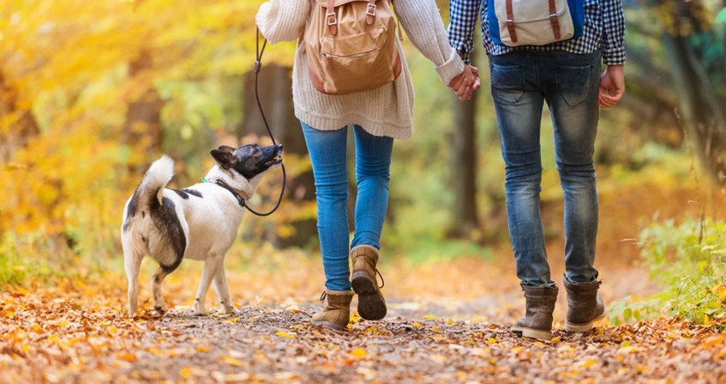beautiful young couple on a walk in autumn forest