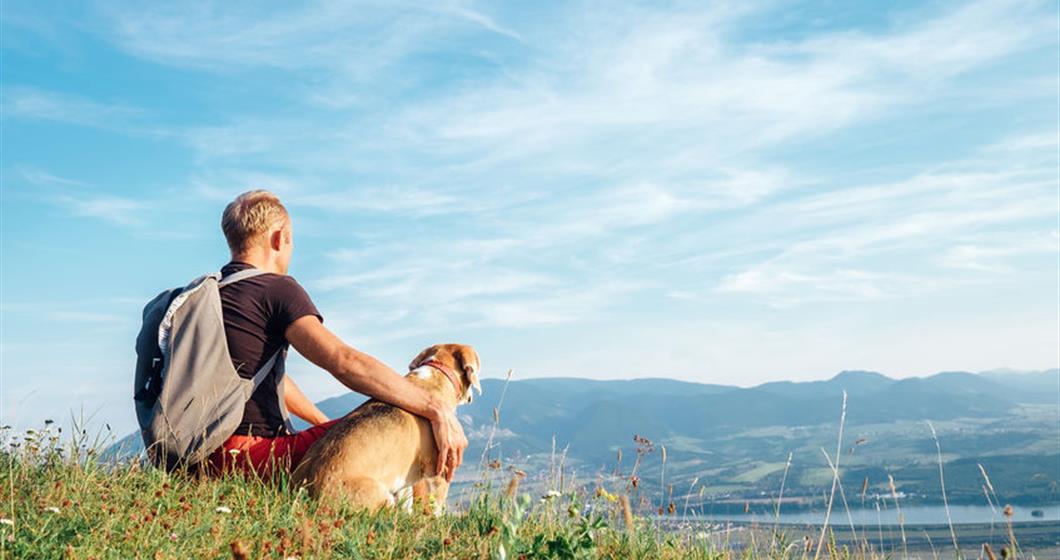 Owner sitting with dog on a hill