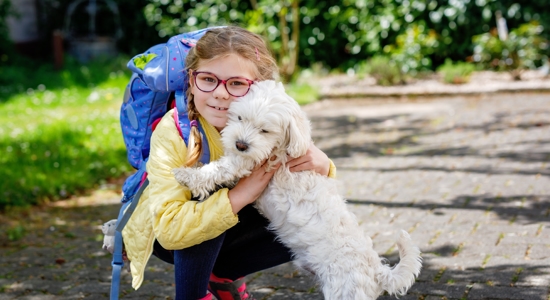 Busy Mornings Ahead? Here Are 5 Home Hacks for a Smoother School Year Photo