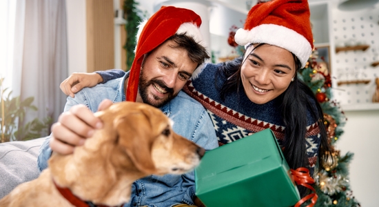 The Best Christmas Gifts for Dogs and Dog Lovers Photo