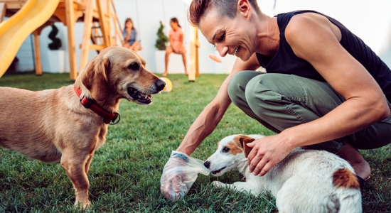 Save the Planet by Picking Up Your Dog’s Poop Photo