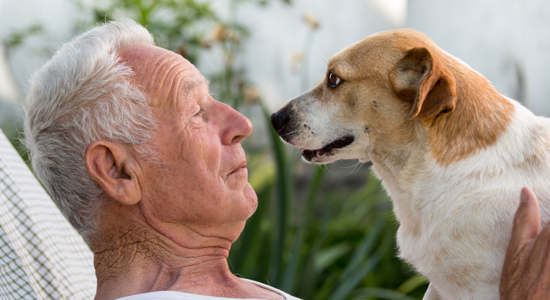Helping Seniors and Their Pets Photo