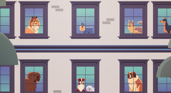 How to Be a Good Neighbor as a Dog Owner Photo