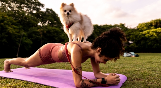 Pet Wellness: A Guide to Your Dog’s Health and Happiness Photo