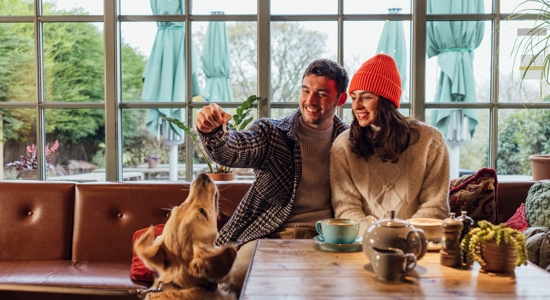 Celebrating Doggy Date Night: Fun Things to Do With Your Dog Photo