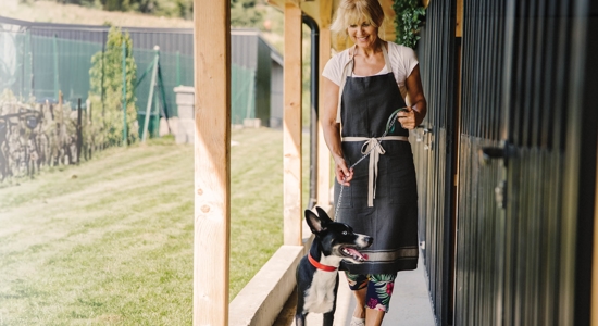 Dog Boarding Hygiene: Food, Toys, and More Photo