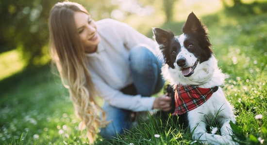 Pet Owners: 3 Health Benefits You Might Find Surprising Photo