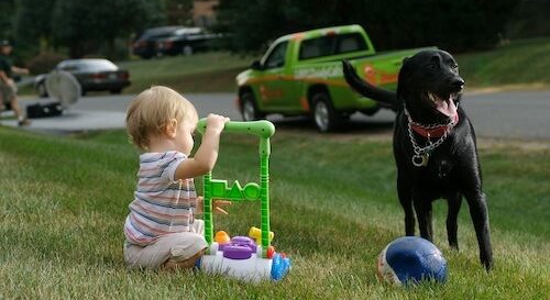 Ten Reasons to Scoop the Poop Photo