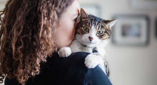 Litter Box Training Photo