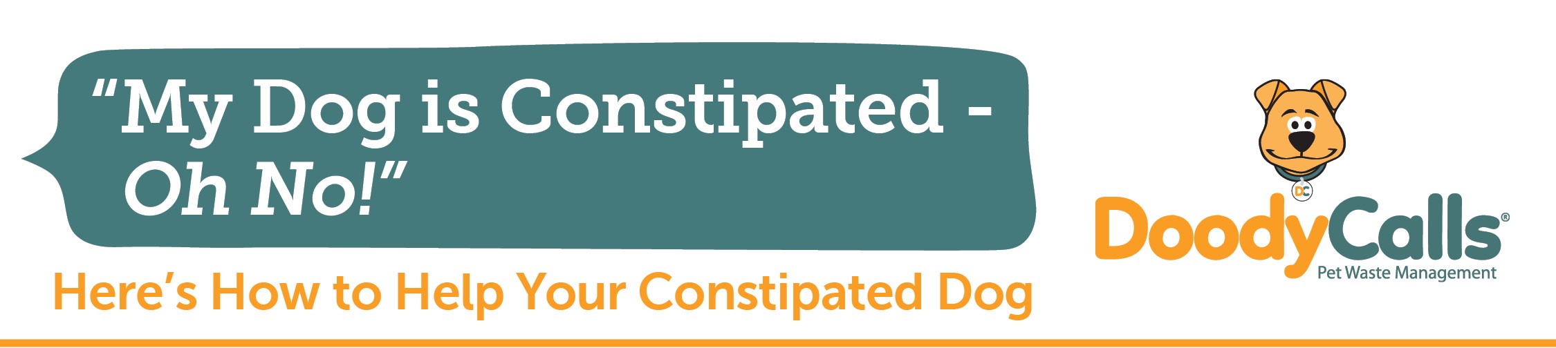 My dog is constipated oh no here s how to help your constipated dog