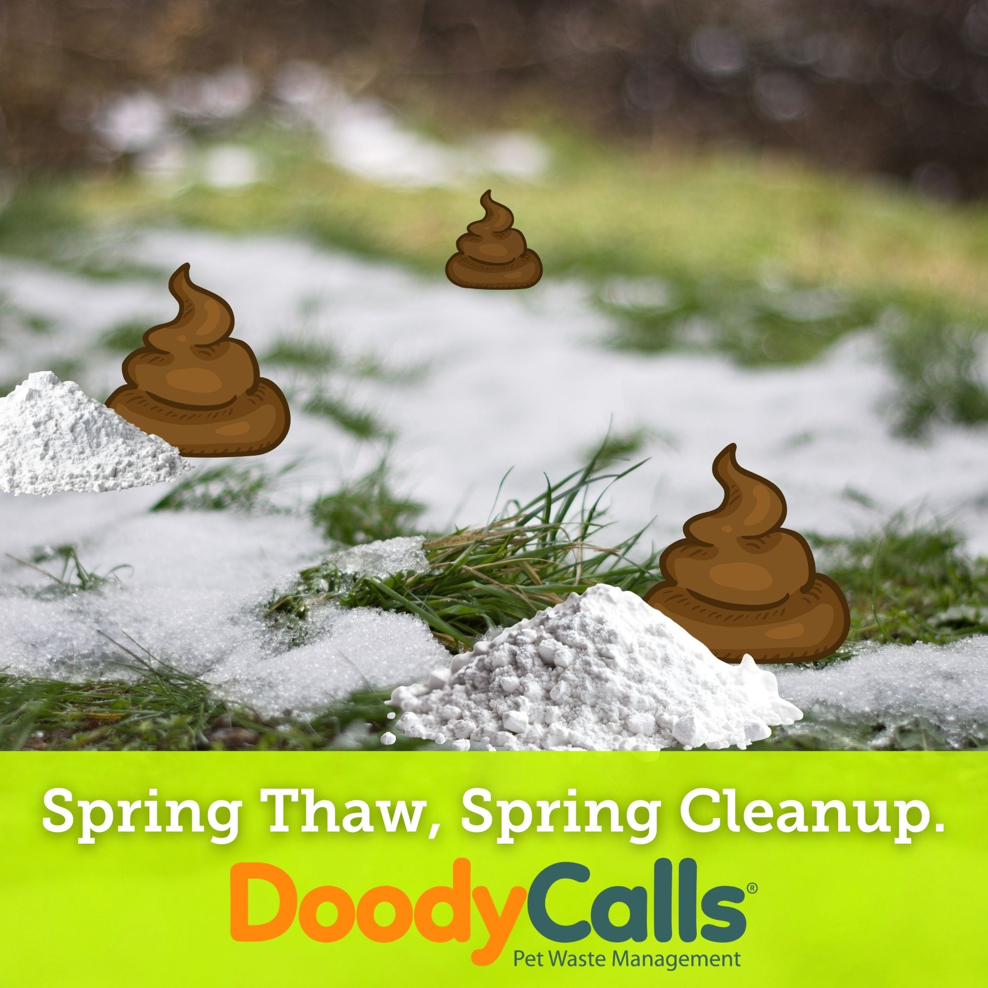 Spring Thaw Walk Spring Thaw, Spring Cleanup: What’s Lurking in Your Yard After Winter?