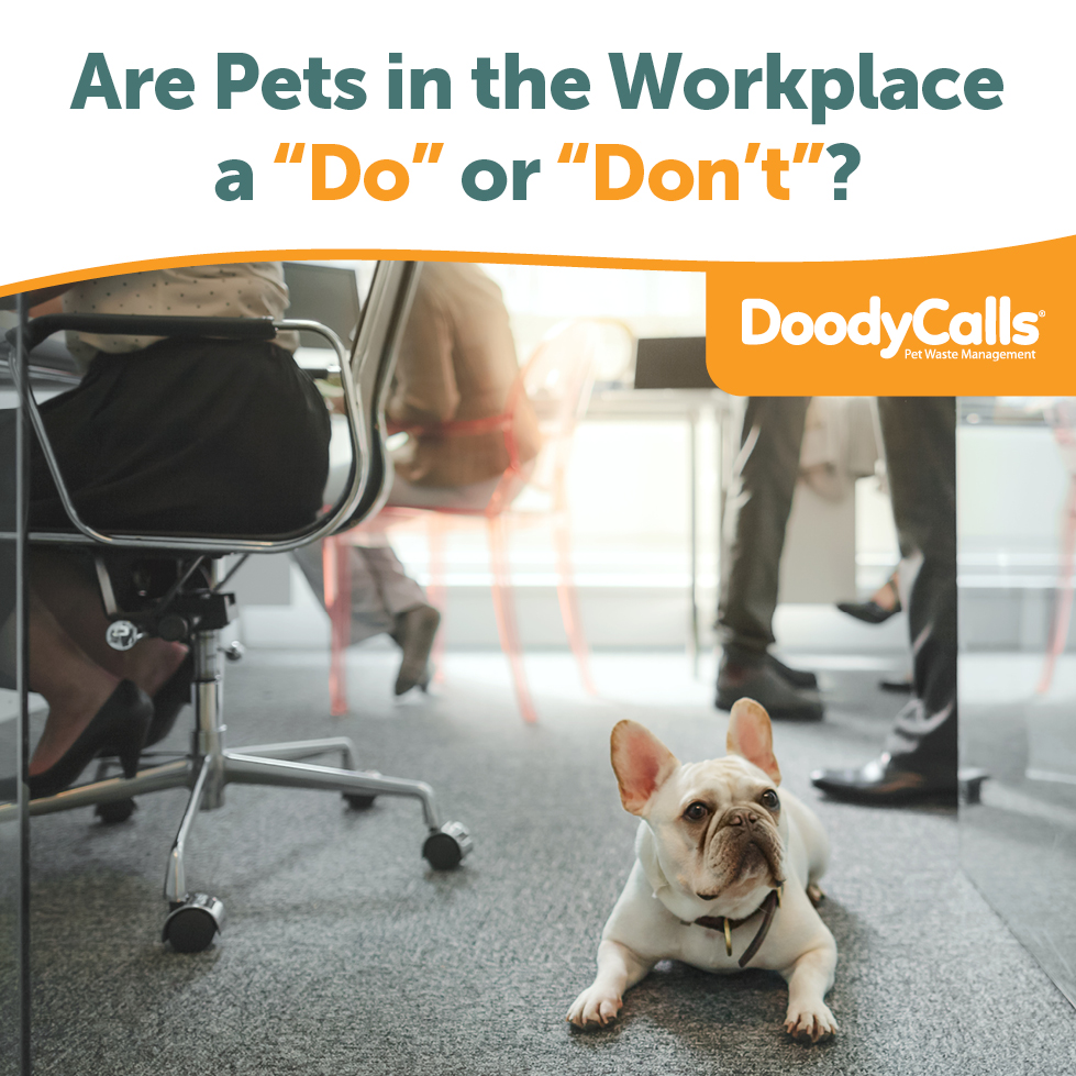 Allowing Pets in the Workplace Pros, Cons & Pet Policies for Businesses